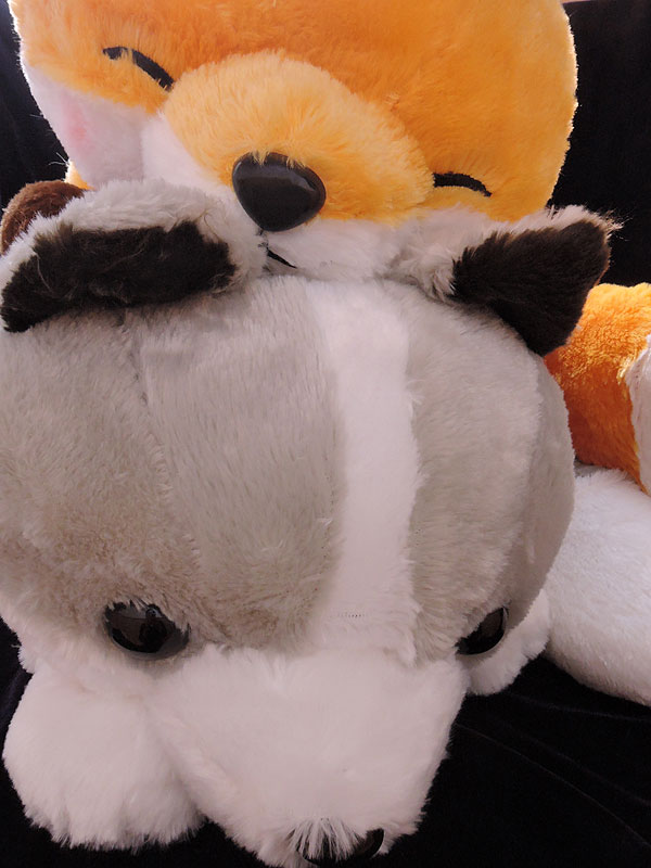 子ぎつねこんこんしっぽをクルンBIG