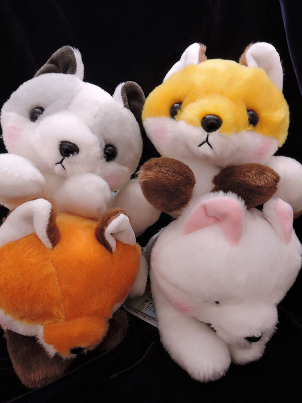 子ぎつねこんこんしっぽをクルン